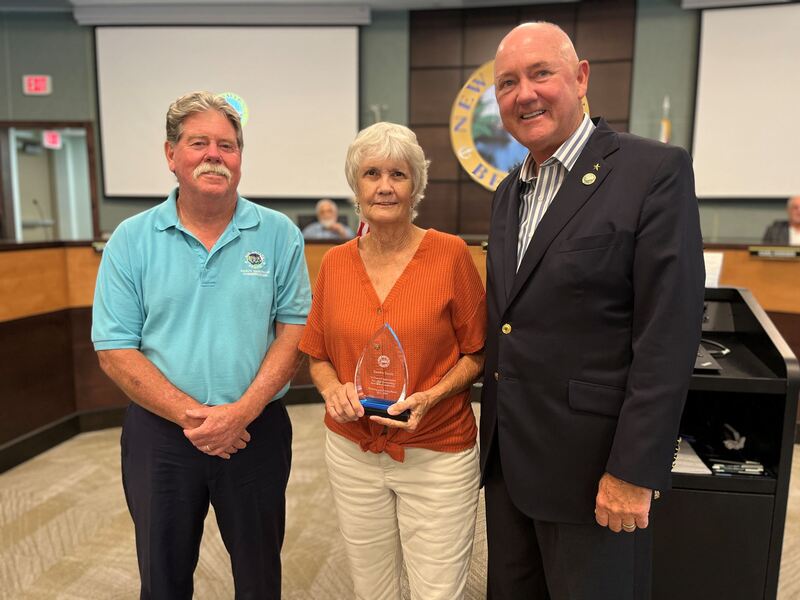 Planning & Zoning Board Chair Sandra Smith honored for contributions.