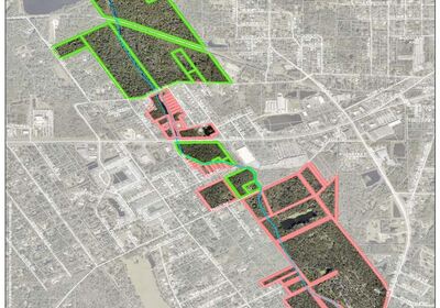 New Smyrna Beach expands conservation efforts, acquires 7.04 acres.