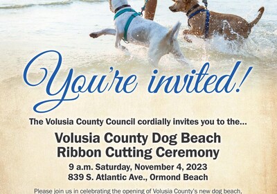 Volusia County's dog beach in Ormond Beach to open November 1.