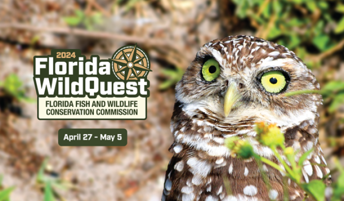 Florida WildQuest 2024