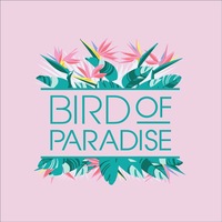 Bird of Paradise