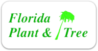 Florida Plant and Tree