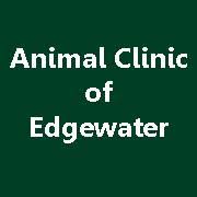 animal vet edgewater