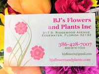 bj plants