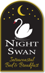 Night Swan