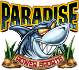 Paradise power sports