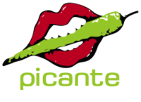 picsante grill