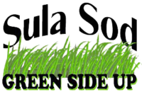 Sula Sod